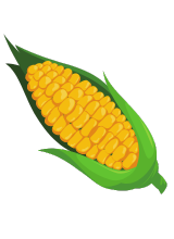 humus saltatium